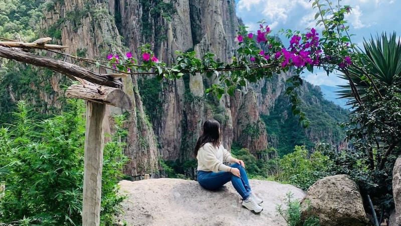 <div class="migrated-promo-image__description"><div class="migrated-promo-image__source">Fuente: Instagram @aarligonzalez</div></div>