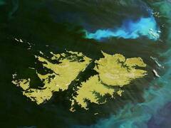 Islas Malvinas: tras reunión con el Gobierno, Estados Unidos define su postura sobre la soberanía argentina