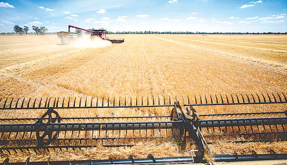 Alerta en los mercados: El Niño amenaza a los commodities clave para la economía mundial