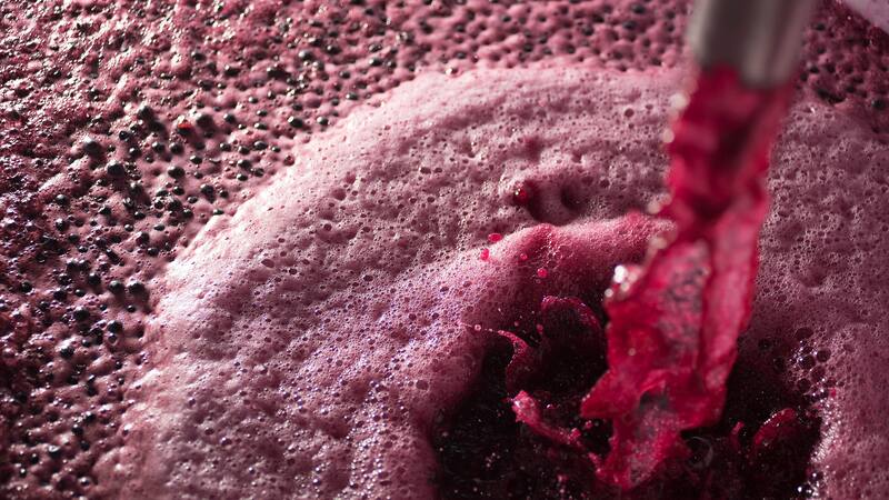 Fecovita. su ex socio pidió intervención y remoción de la comisión directiva