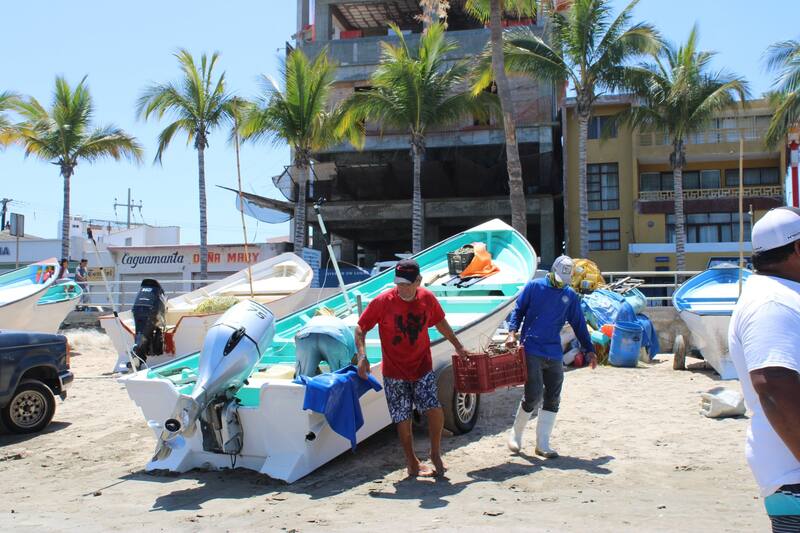 Con Bienespesca los pescadores y trabajadores acuícolas recibirán $7,500. Fuente: Secretaría del Bienestar