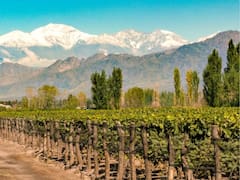 Cuánto sale una escapada a Mendoza el próximo fin de semana largo