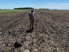 El Grupo Don Mario se quedó con el negocio de maíz y sorgo del gigante alemán KWS
