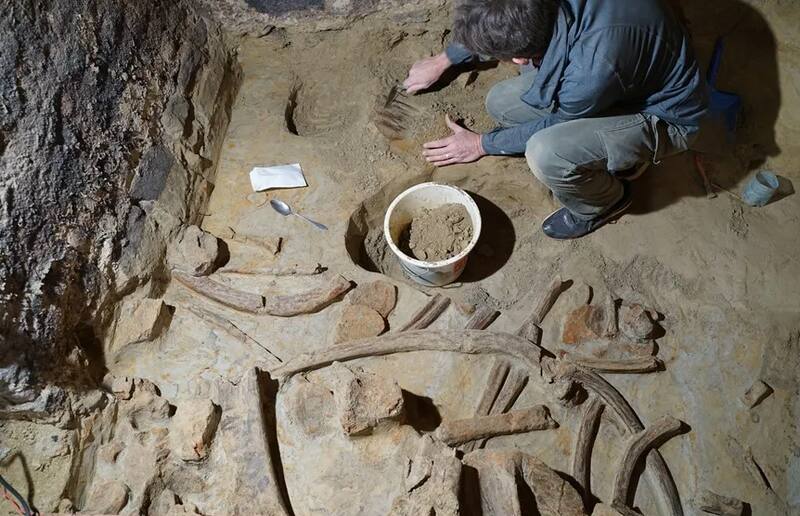 Según definieron los especialistas los restos se encuentran en muy buen estado.