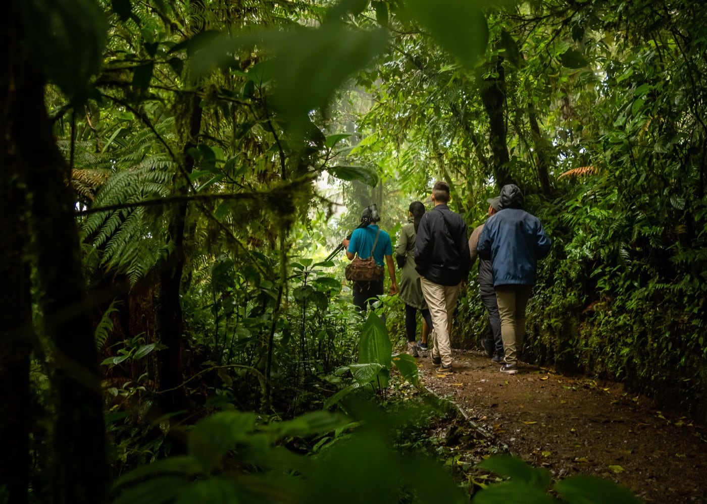 Caminata en el bosque nuboso de Monteverde