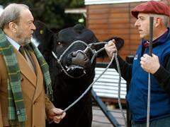 “Miguelito , promesa de campeón, el primer toro en ingresar a La Rural