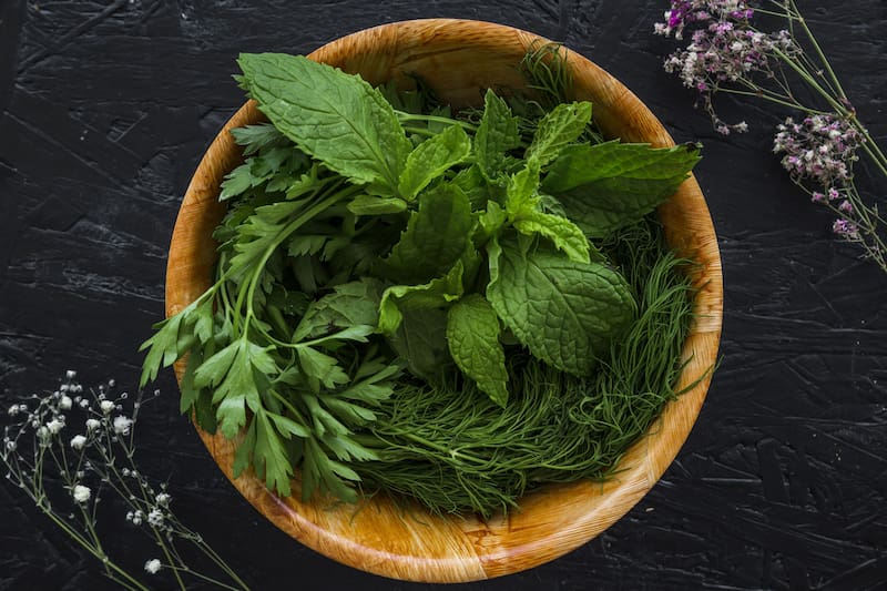 Dentro de las hierbas naturales, la menta es conocida en la medicina tradicional desde tiempos antiguos. (Foto: Freepik)