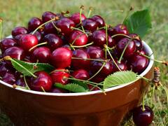 El país de Sudamérica que conquistó a China con sus cerezas: le exporta 377,000 toneladas anuales de este fruto