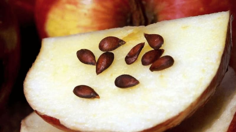 <div class="migrated-promo-image__description"><div class="migrated-promo-image__source">Fuente: vecteezy</div></div>