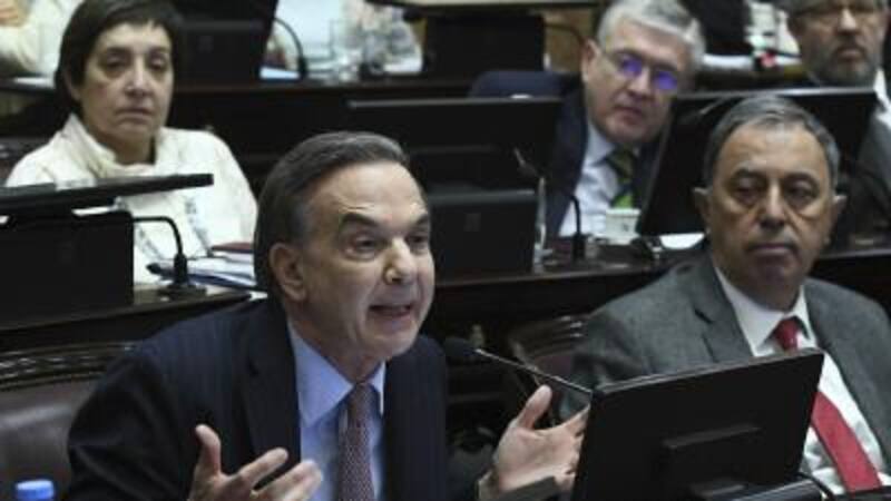 Pichetto debió dar "libertad de acción" a un bloque dividido