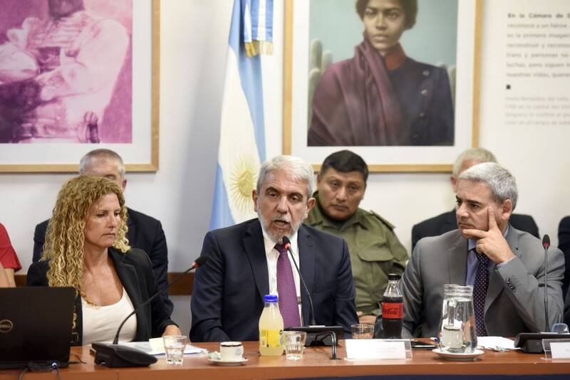 Para Mónica Fein, Aníbal Fernández evidenció que no existe un plan integrado para combatir el narcotráfico.