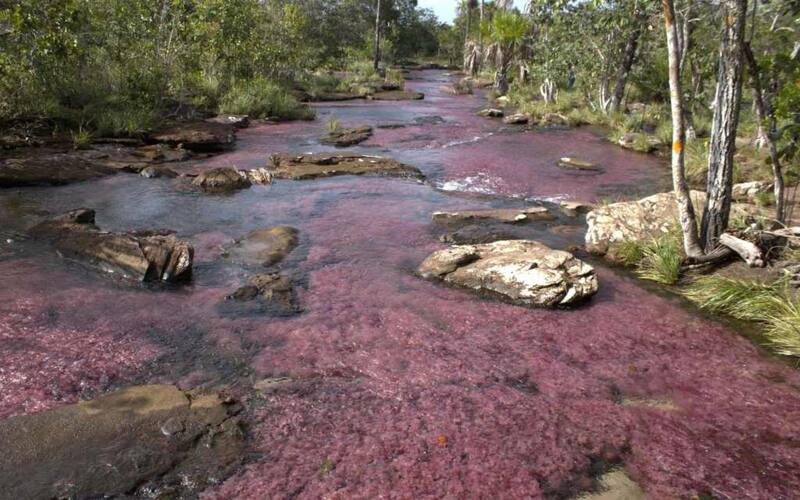 El Río Tranquilandia no necesita filtros ni fama: su belleza habla por sí sola (Fuente: Turismo San José del Guaviare).