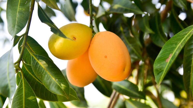 <div class="migrated-promo-image__description"><div class="migrated-promo-image__source">Fuente: Shutterstock</div></div>