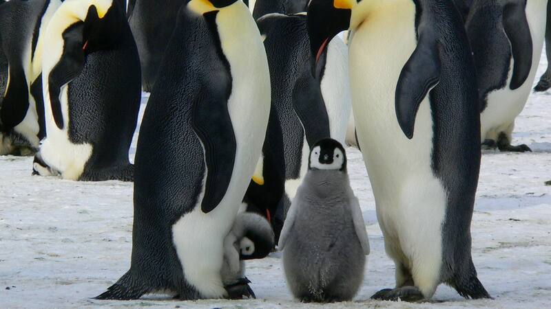 Tenés solamente 10 segundos para resolverlo.