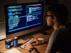 Es el único sector que creció en la crisis y generó empleo privado: tienen 18.000 nuevos empleados y los sueldos más altos del país