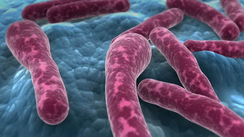 Una nueva especie de bacteria surgió en el espacio exterior y los científicos ya la estudian.