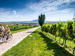 Atención mexicanos: te regalan USD 200 si visitas Argentina