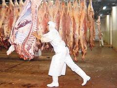 Frigoríficos advierten que podría frenarse la faena de carne