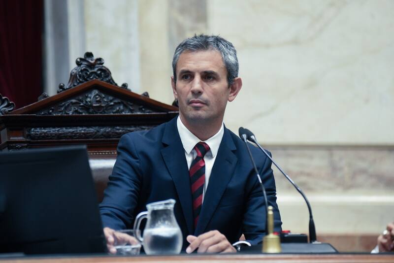 El presidente de la Cámara de Diputados, Martín Menem.