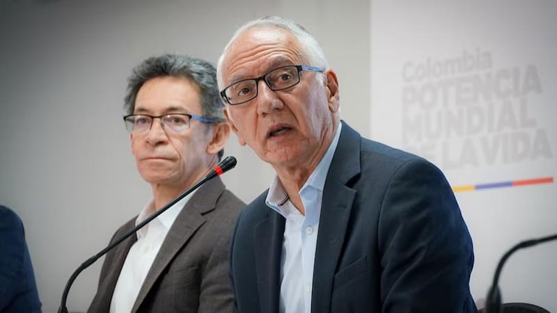 Guillermo Jaramillo, Ministro de Salud, durante la audiencia pública del 12 de mayo (Fuente: Ministerio de Salud).