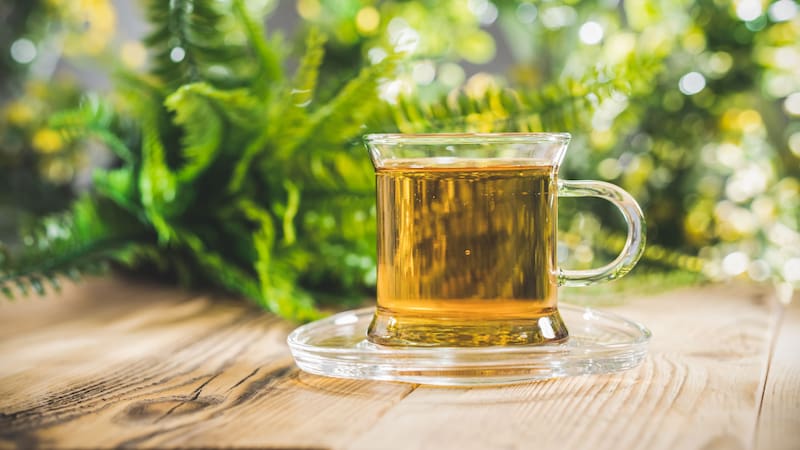 El té con probióticos que ayuda a la pérdida de memoria y reduce el dolor en las articulaciones.