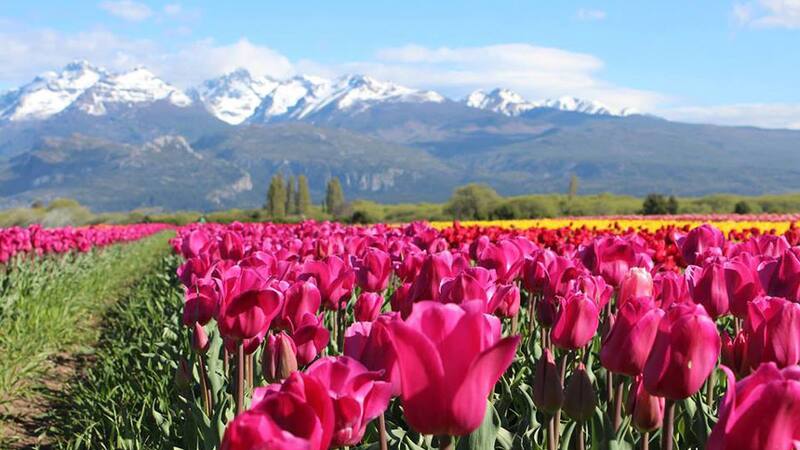 El destino ideal con paisajes de ensueño para tu próximo viaje.