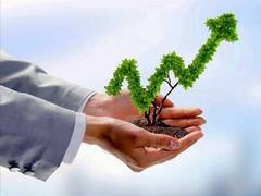 Del activismo al ADN de los negocios: las claves detrás de la revolución verde empresarial