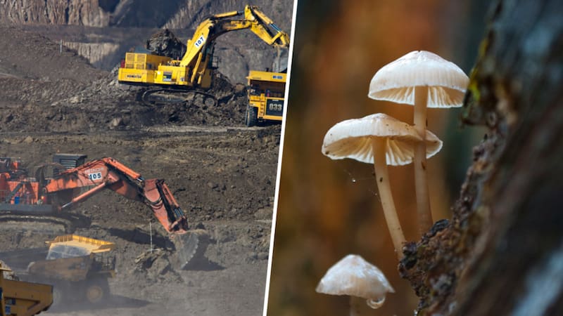 <div class="migrated-promo-image__description"><div class="migrated-promo-image__source">Fuente: Gentileza: Xataka</div></div>