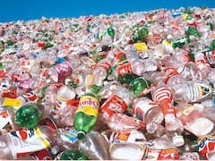 Basural PET: en la Argentina se tiran 12 millones de botellas de plástico por día