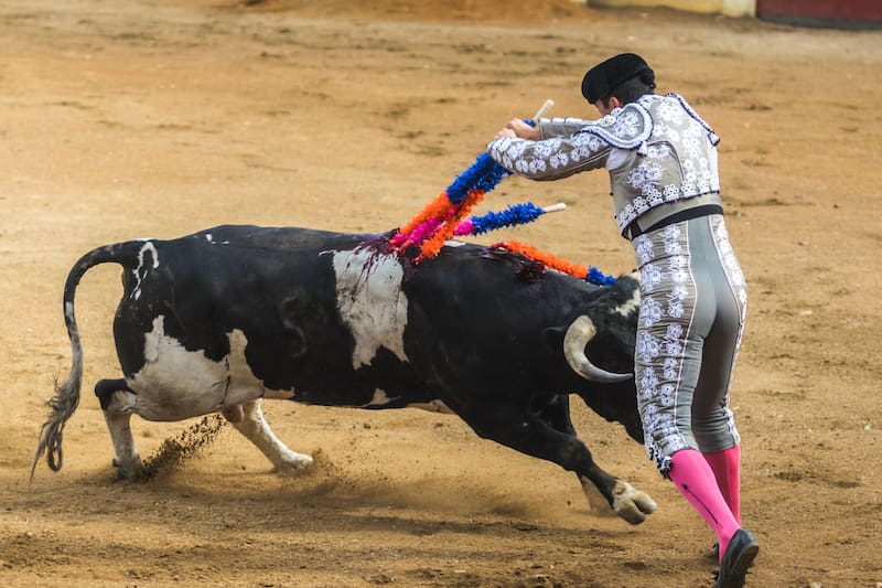 En España, las criadillas se asocian frecuentemente con la tauromaquia y la cultura del toro, siendo consumidas como una forma de celebración o ritual después de las corridas de toros. (Imagen: archivo)