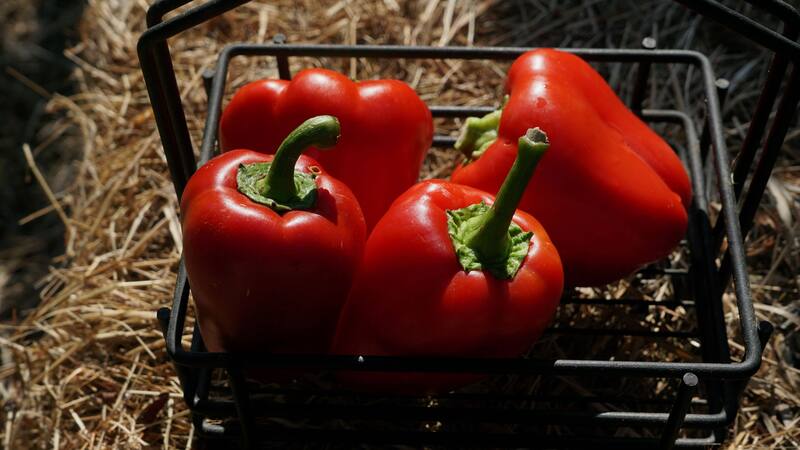 El alimento con más vitamina C que la naranja: ayuda a bajar de peso, aporta un extra de energía y mejora el aspecto de la piel después de los 30.