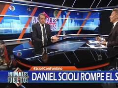 Scioli, sobre conflicto docente: "Van a tener que implementar un aumento por decreto"