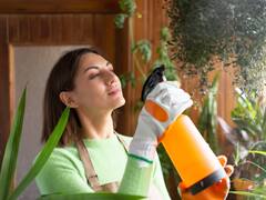 Adiós bichos: el método que usan los jardineros españoles para eliminar las cochinillas de las plantas