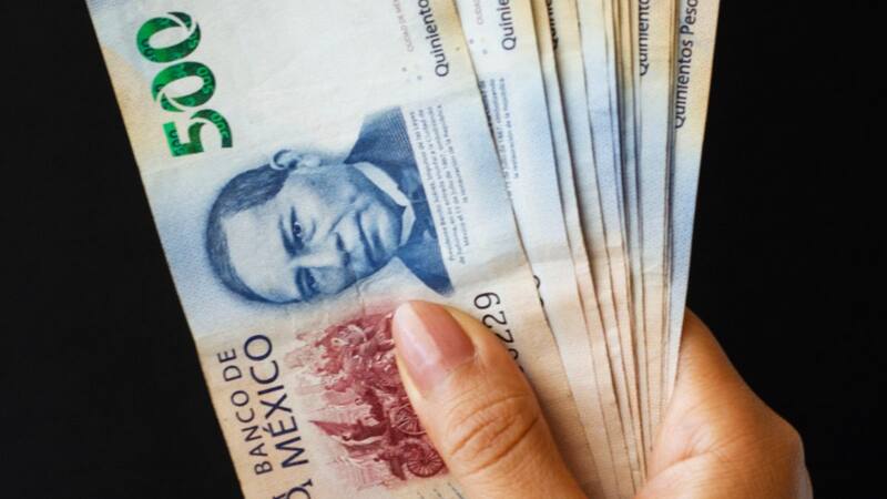 Según el Horóscopo Chino, 6 signos del zodíaco recibirán dinero extra, gracias a sus desiciones asertivas. Foto: archivo El Cronista México