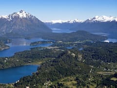 Sorprendente hallazgo en la Patagonia argentina: científicos descubren una nueva especie y cambia el rumbo de la historia