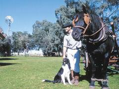 Boom de turismo rural: se triplicó la ocupación en hospedajes