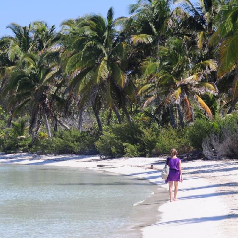 Contoy, una isla virgen en el Caribe