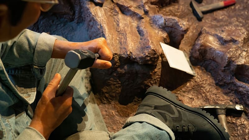 <div class="migrated-promo-image__description"><div class="migrated-promo-image__source">Fuente: Shutterstock </div></div>