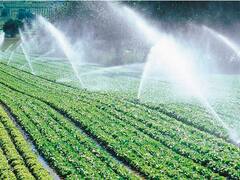 Empresas israelíes apuestan a crecer en el agro argentino