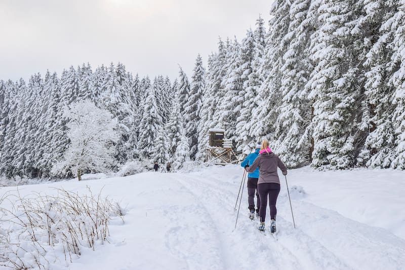 Soñar con nieve puede tener muchos significados (Fuente: Pixabay)