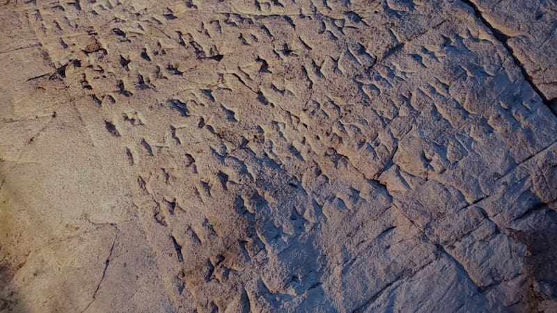 <div class="migrated-promo-image__description"><div class="migrated-promo-image__source">Fuente: Ontario Centre for Archaeological Research and Education</div></div>