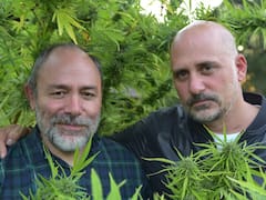 Extraña pareja: dejaron sus empleos académicos para ser "los pioneros del cannabis"