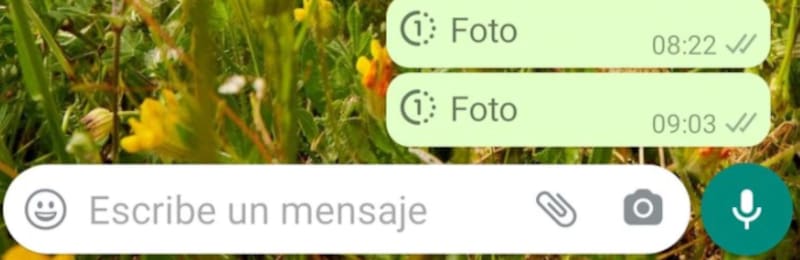 Hacer clic en el número 1.