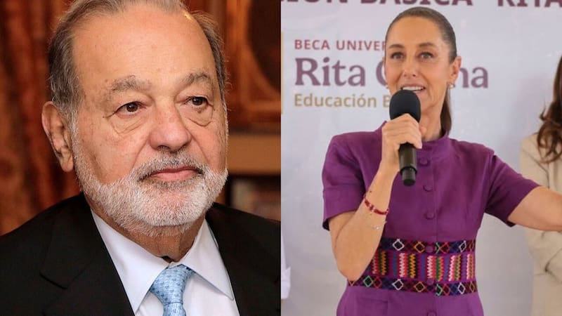 <div class="migrated-promo-image__description"><div class="migrated-promo-image__source">Fuente: Collage Canva</div></div>