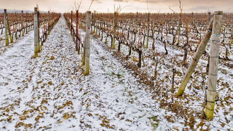 <div class="migrated-promo-image__description"><div class="migrated-promo-image__source">Fuente: pali-legno</div></div>