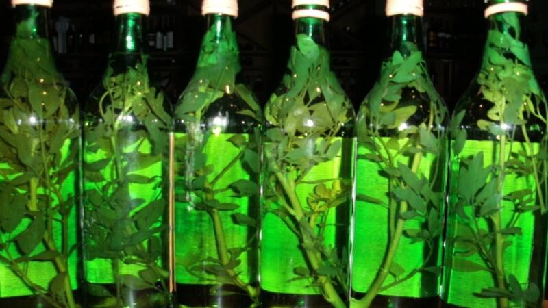 Conocé más detalles sobre esta tradición.