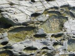 Encontraron más de 600 huellas de animales prehistóricos: algunas pertenecen a elefantes y jirafas que habitaron Europa hace 778.000 años