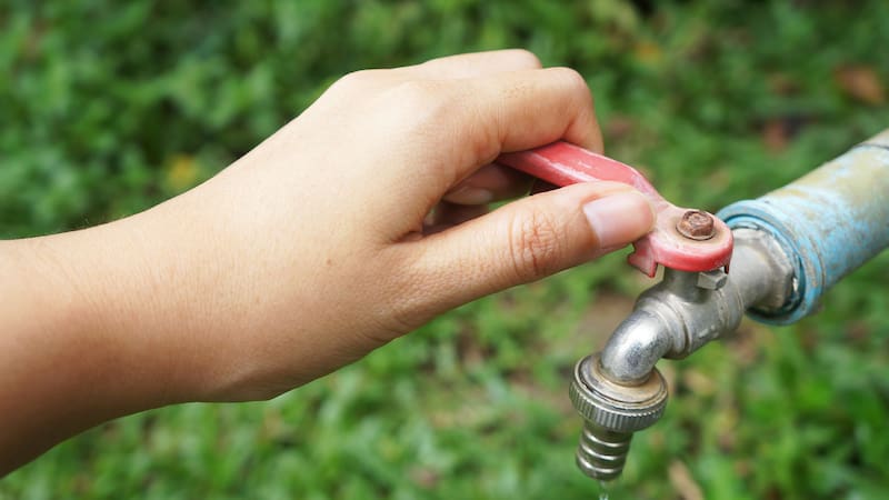 <div class="migrated-promo-image__description"><div class="migrated-promo-image__source">Fuente: ShutterStock </div></div>