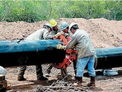 Electroingeniería reestructura su directorio: quién es quién