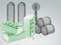 El agro le permitió al Gobierno un fuerte ingreso de dólares en abril